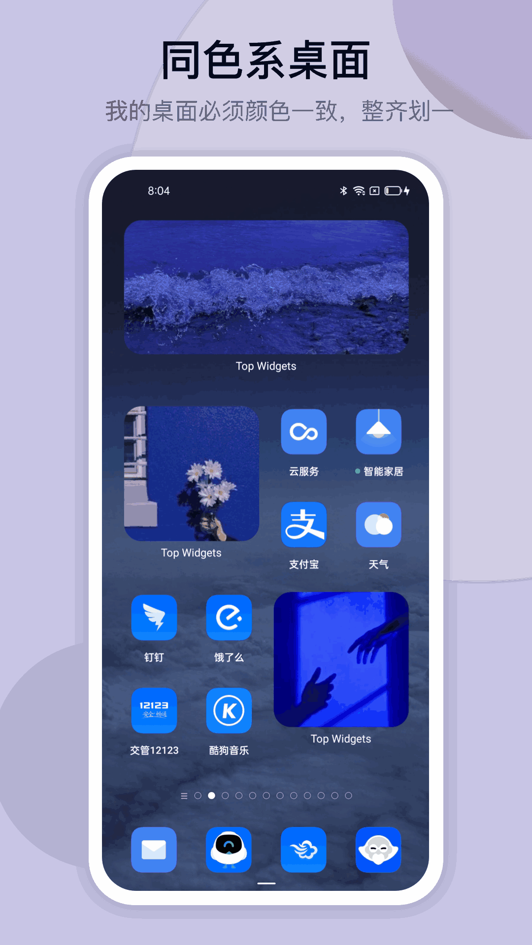 万能小组件topwidgets截图2