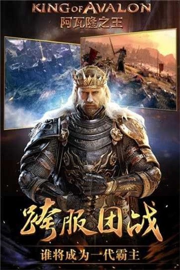 阿瓦隆之王全球服截图4