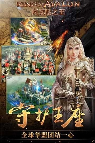阿瓦隆之王全球服截图1