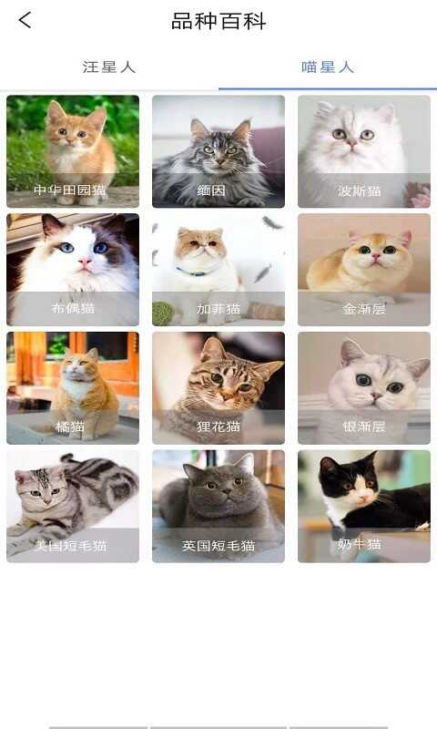԰appͼ3