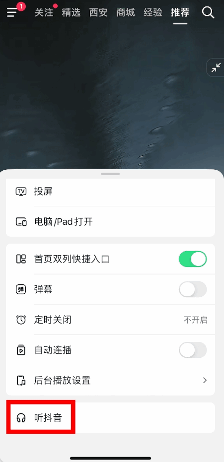 ͼ1
