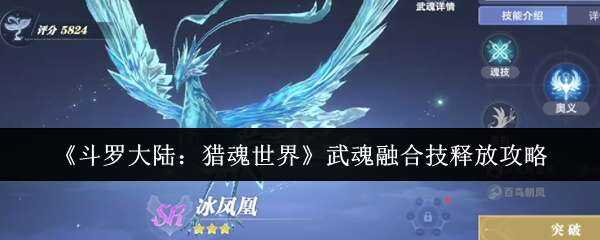 ޴½ԻںϼͷŽ