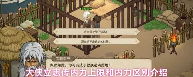 ־޺