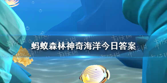 Ҷڴеʱɫĸ