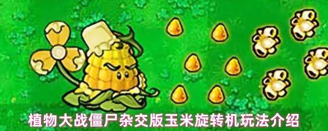 ֲսʬӽת淨ָ