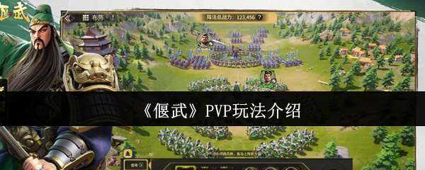PVP淨
