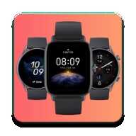 Amazfit GTR/GTS 4 ֻ