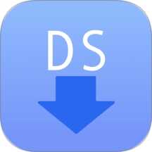 DSת logo