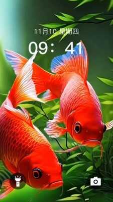 ֽ̬ͼ3