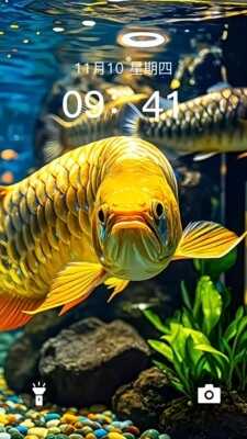 ֽ̬ͼ2