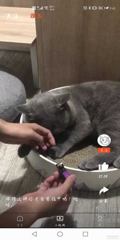 ѶƵwetvͼ2