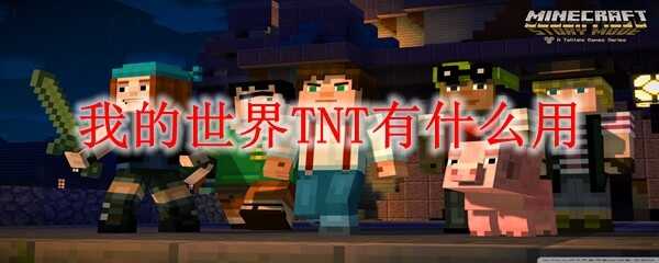 ҵTNTʲô