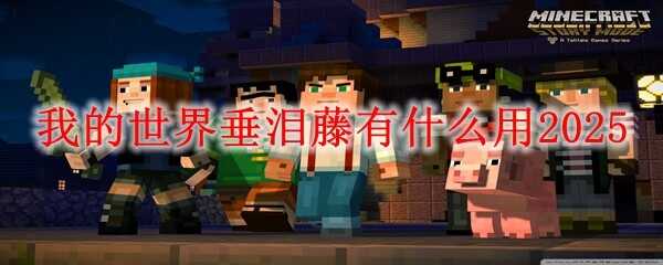 ҵ紹;ʲô2025