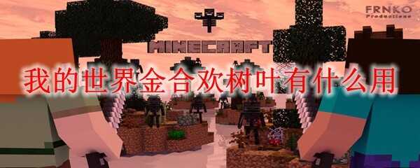 ҵϻҶʲô