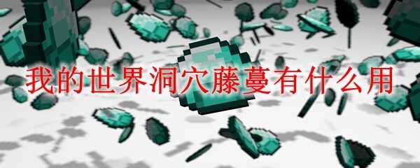 ҵ綴Ѩʲô
