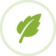 sgreen logo