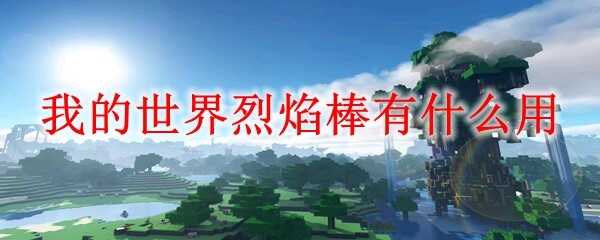 ҵʲô2025