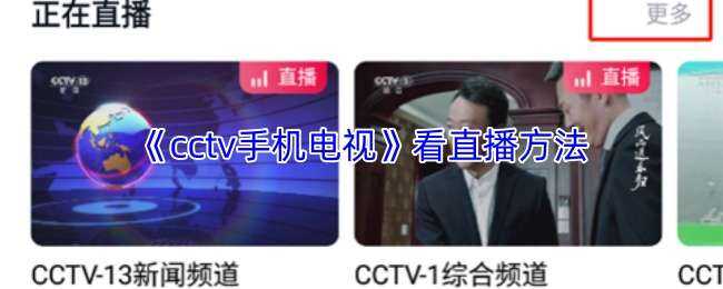 cctvֻӿֱ