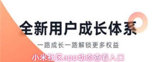 Сapp̬鿴