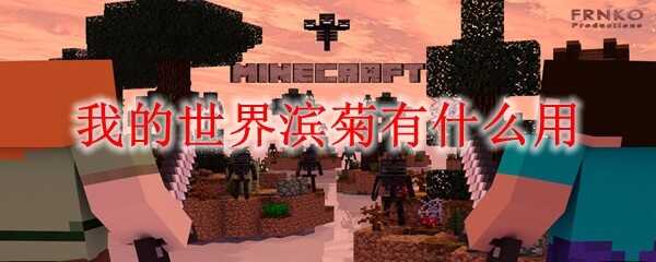 ҵ;ʲô2025