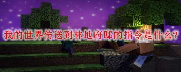 ҵ紫͵ֵظָۡʲô?