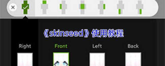 skinseedʹ�ý̳�