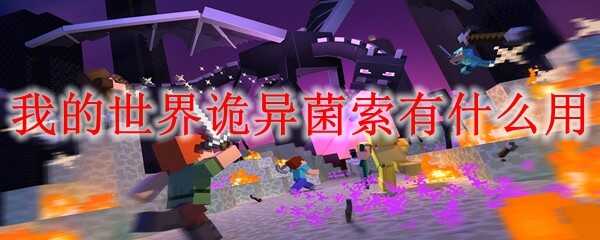 �ҵ�������������;��ʲô