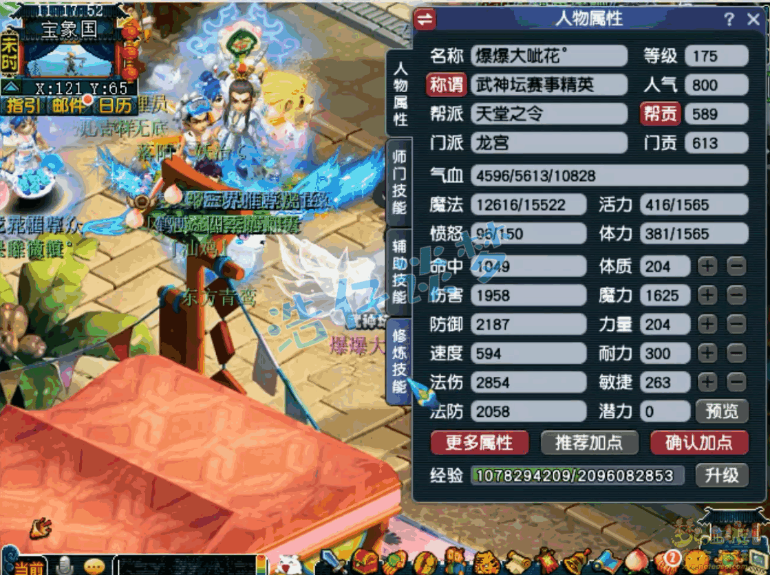 �λ�����175������սװ��չʾͼ