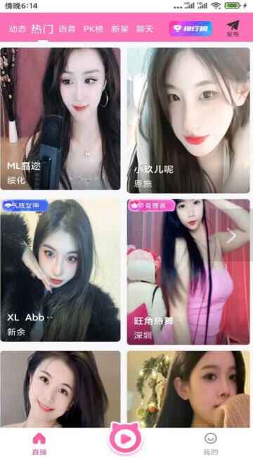 4��ֱ��4.t��ͼ1