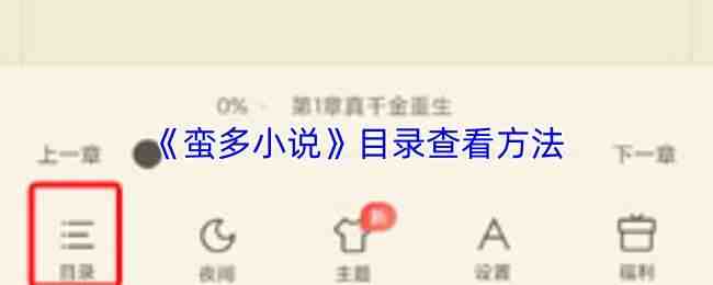 ����С˵Ŀ¼�鿴����