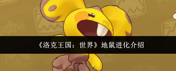 �������������������ָ��