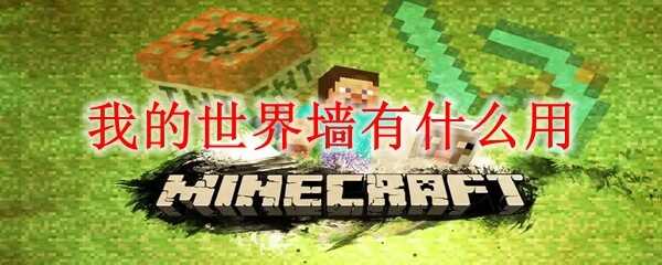 �ҵ�����ǽ������ʲô