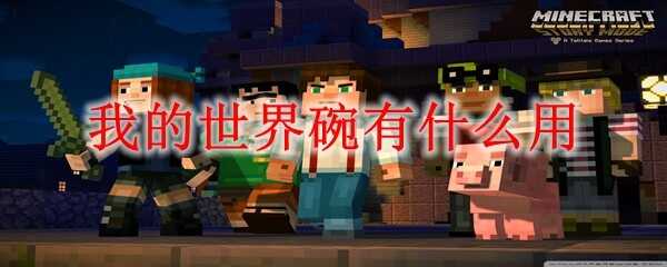 �ҵ���������;��ʲô2025