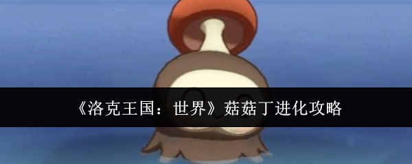 ������������繽��������ָ��