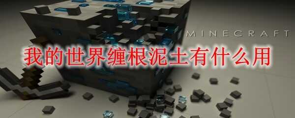 �ҵ��������������;��ʲô2025