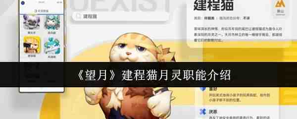 ���½���è����ְ�ܹ���