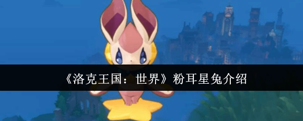 �������������۶�����ָ��