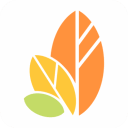 ��������ʷ�汾