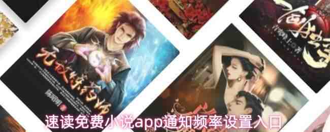 �ٶ����С˵app֪ͨƵ���������