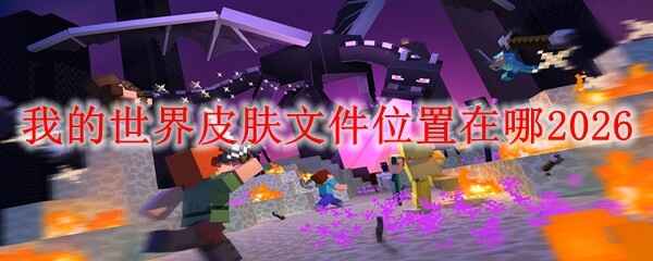 �ҵ�����Ƥ���ļ���ʲôλ��2026