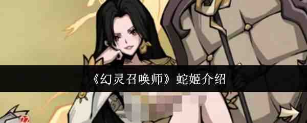 �����ٻ�ʦ�߼�˵��