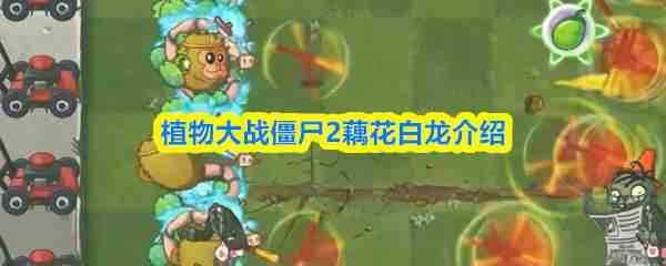 ֲ���ս��ʬ2ź����������