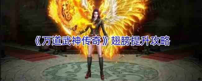 ���������������˵��