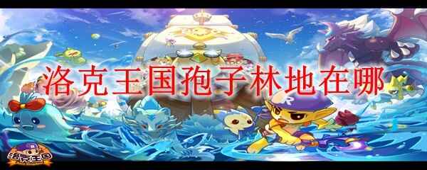 ������������ֵ���ʲôλ��