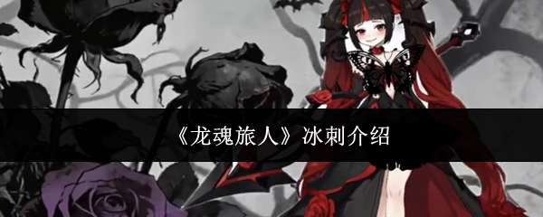 �������˱��̹���