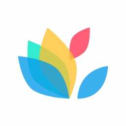 һ��������ֽ