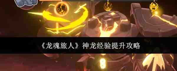 ��������������������˵��