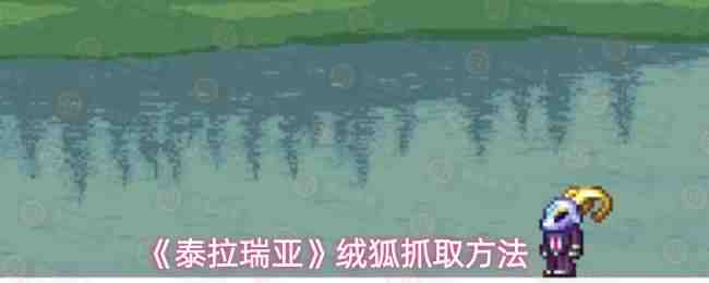 ̩�������޺�ץȡ��ʽ