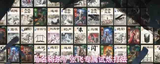 ����ɱ�ŷ�ר��������