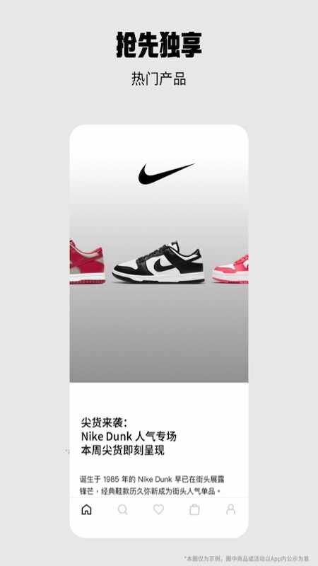 Nike�Ϳ˽�ͼ1